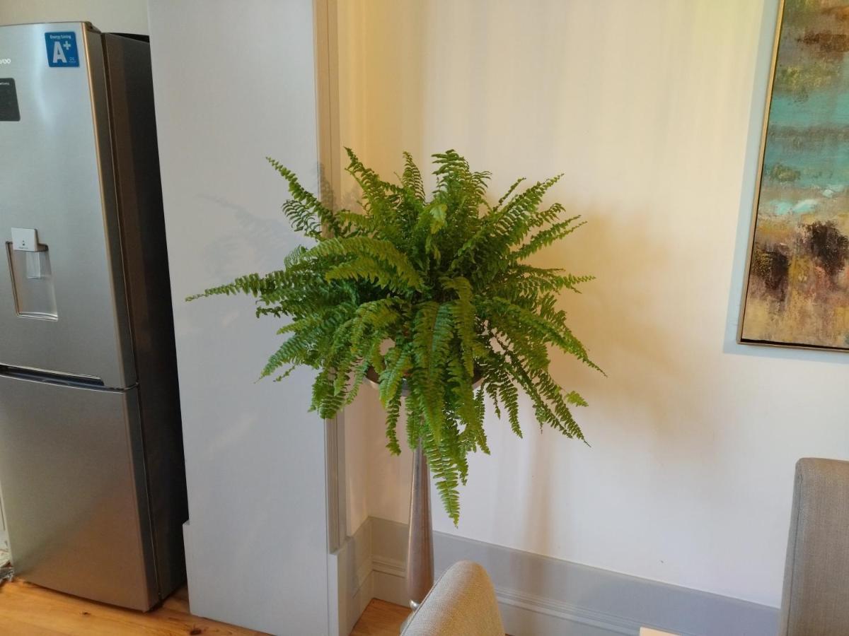 Lusitania Garden Apartment - Jardim Privado 波尔图 外观 照片